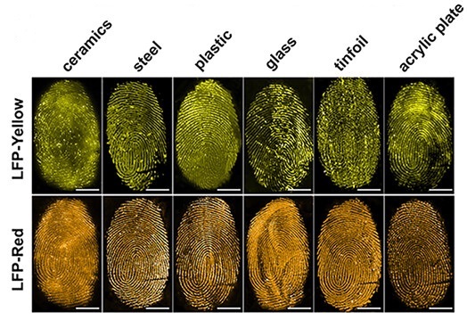 Forensics Spray Uses Jellyfish Protein To Detect Fingerprints In Ten ...